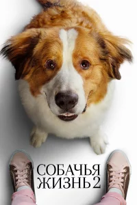 Собaчья жизнь 2