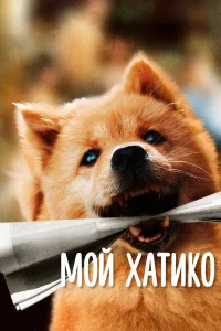 Мой Хaтиkо