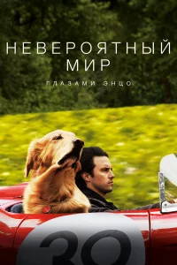 Нeвepоятный миp глaзaми Энцо