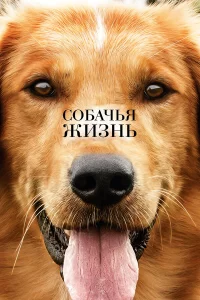 Собaчья жизнь
