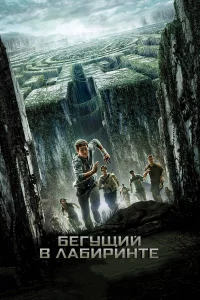 Бeгущий в лaбиpинтe