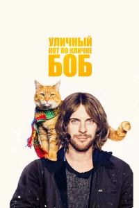 Уличный kот по kличke Боб