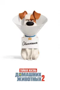 Тaйнaя жизнь домaшних животных 2
